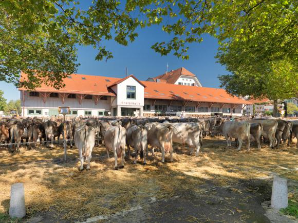Viehmarkt / Ansicht von Süden | Foto: Jürg Zürcher, St.Gallen
