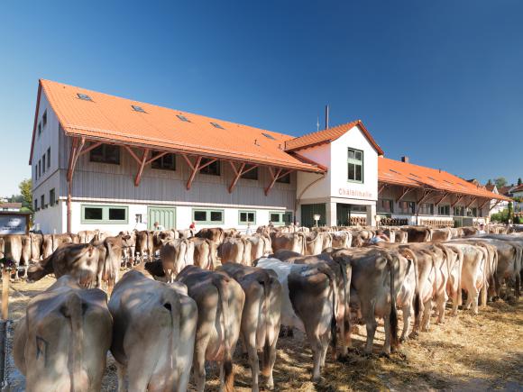 Viehmarkt / Ansicht von Südwesten | Foto: Jürg Zürcher, St.Gallen